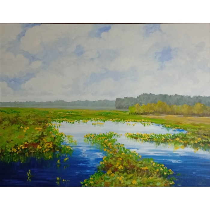 Kaczeńce, wspomnienie