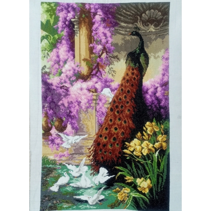 Paw i gołębie w ogrodzie