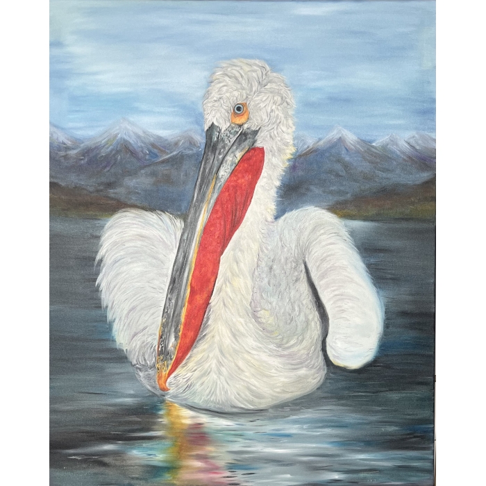 Dalmatian pelican 