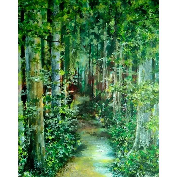 Leśna ścieżka w letnim blasku