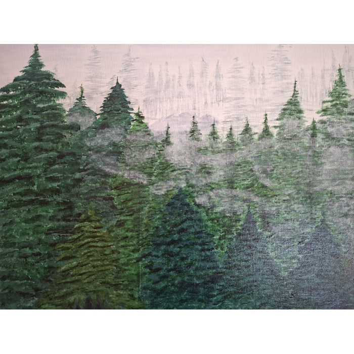 Poranna mgła wśród świerków