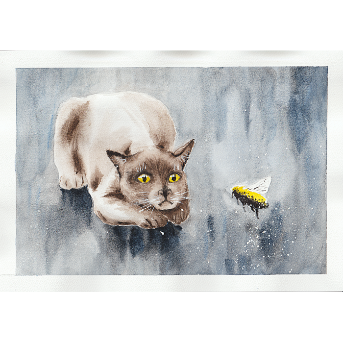 Zaraz cię złapię!