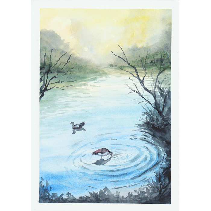 Mglisty poranek nad jeziorem