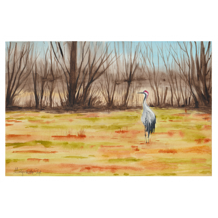 Niezawodny zwiastun wiosny