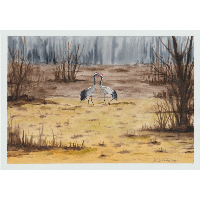 Czuć już wiosnę w powietrzu