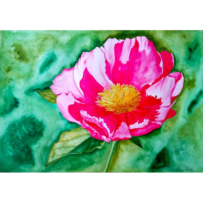 Radość jest w kolorze różowych piwonii