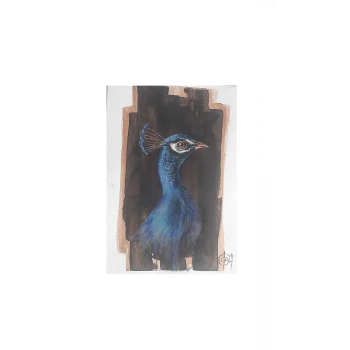 Peacock