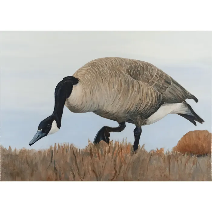 Gęś / Goose - Leon Rysa