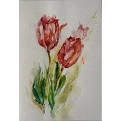 Czerwone tulipany