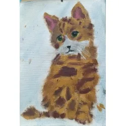 Kotek