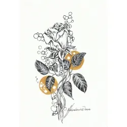 Rose and Gold 5