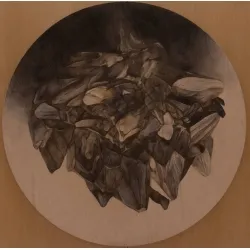 Argentum